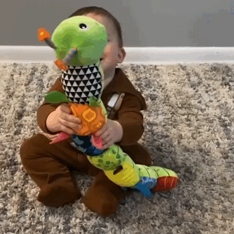 Infant Musical Rattler