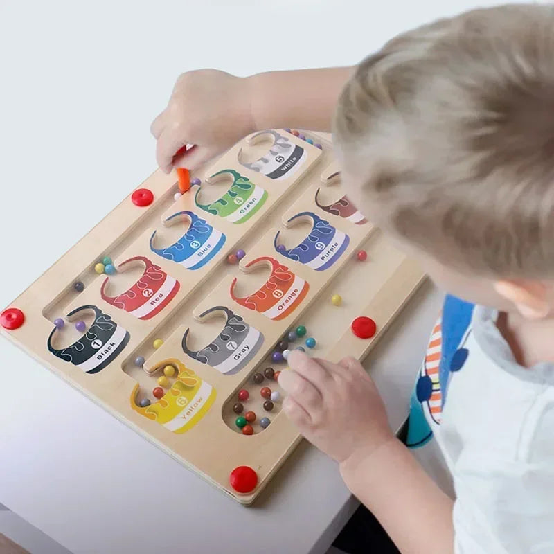 Magnetic Color Sorting Game
