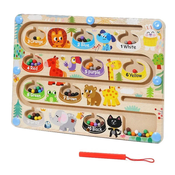 Magnetic Color Sorting Game