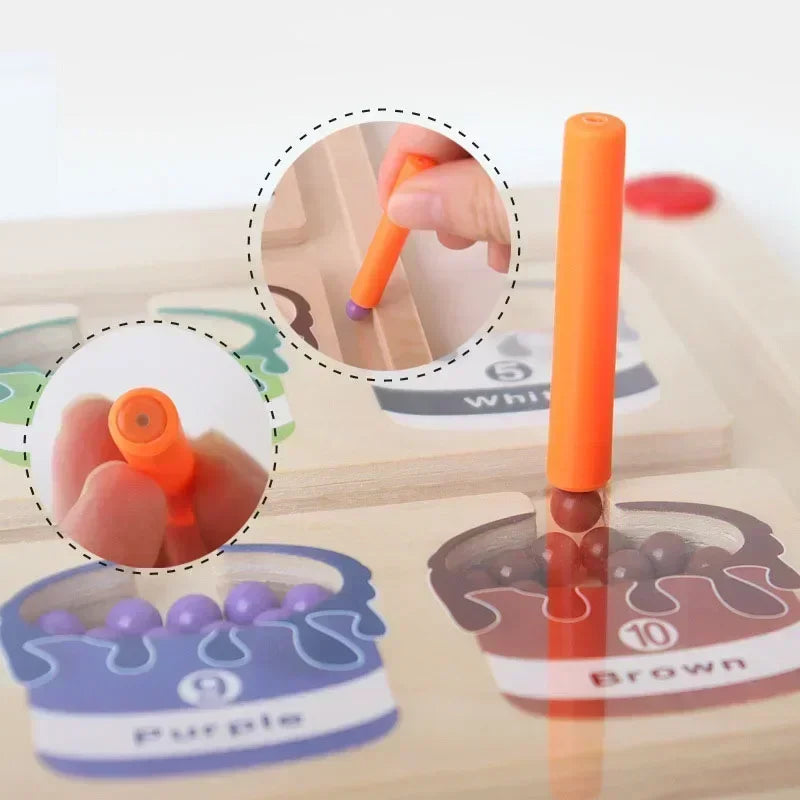 Magnetic Color Sorting Game