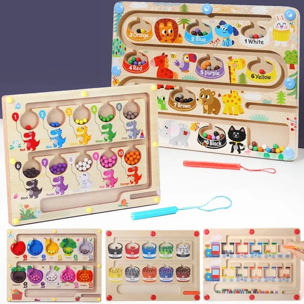 Magnetic Color Sorting Game